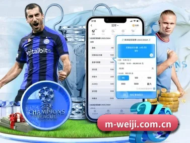 维基体育网页版 APP